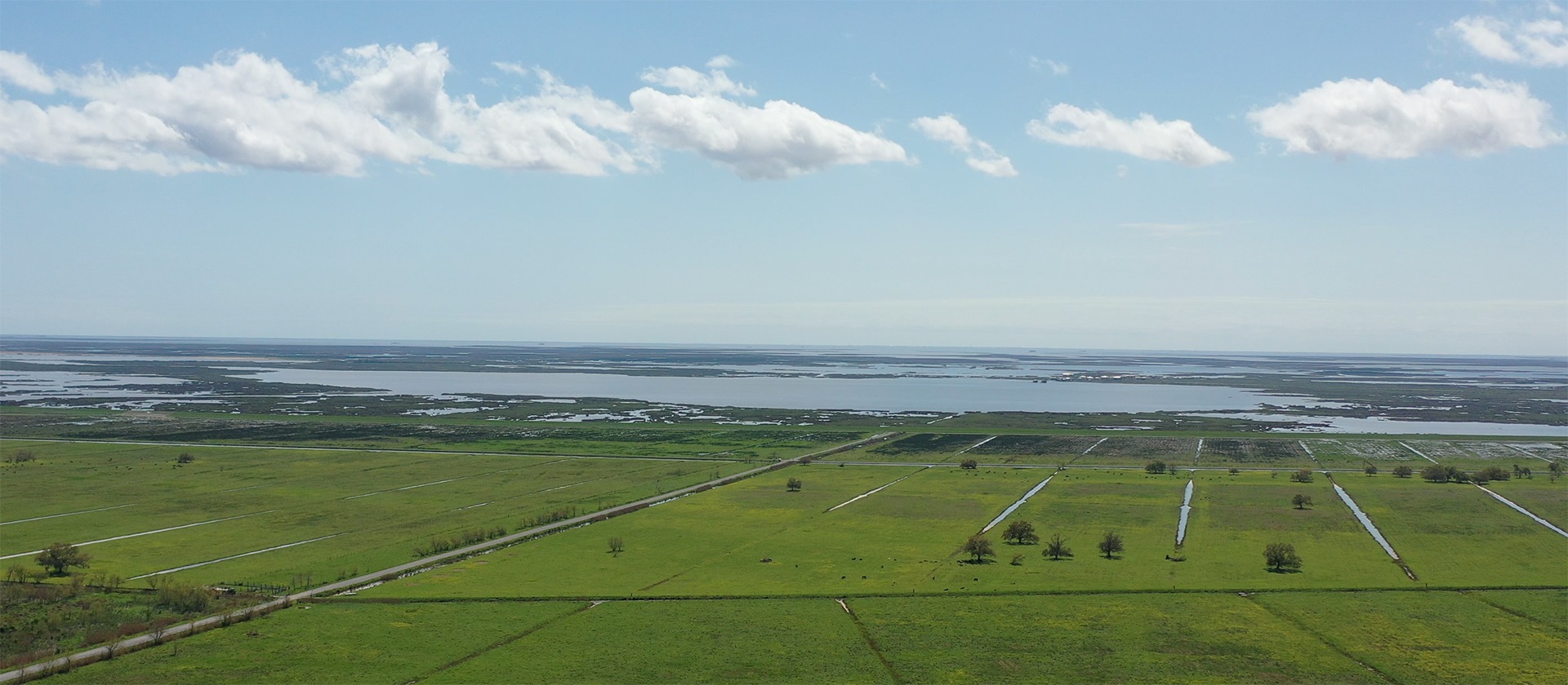 Coastal preservation and restoration (VGPL)